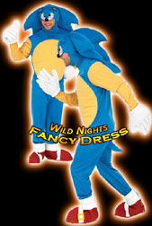 Fancy Dress Adult Sonic Costume