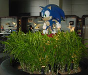 Sonic lobby Bamboo Sega HQ statue photo