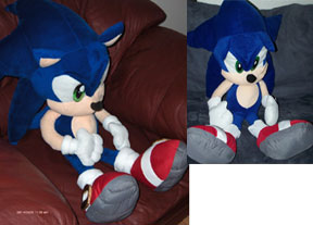 Before & After Photos- Fixed Plush