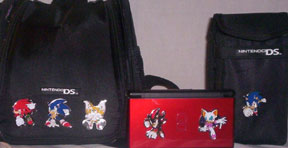 DS Carry Case Pins Decorated