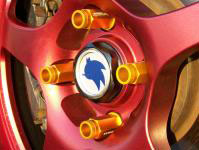 Sonic shoe car wheel detail