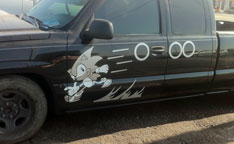 Black & White Sonic Graphic Fan Truck