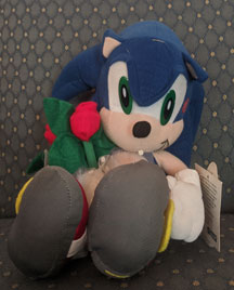 Valentine Rose Holding Sonic Plush