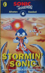 Stormin Sonic Choose Adventure Book