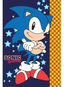 Classic Styled Stars & Sonic Wall Scroll