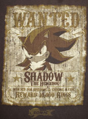 Wanted Poster Detail Design Photo
