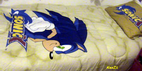 Sonic X Blanket Simple Side 2