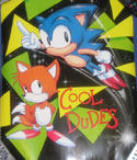 Cool Dudes Sonic & Tails Poster