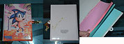 Sonic Diary Book With Key